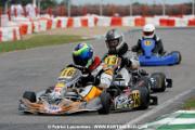 _DSC4695 copie